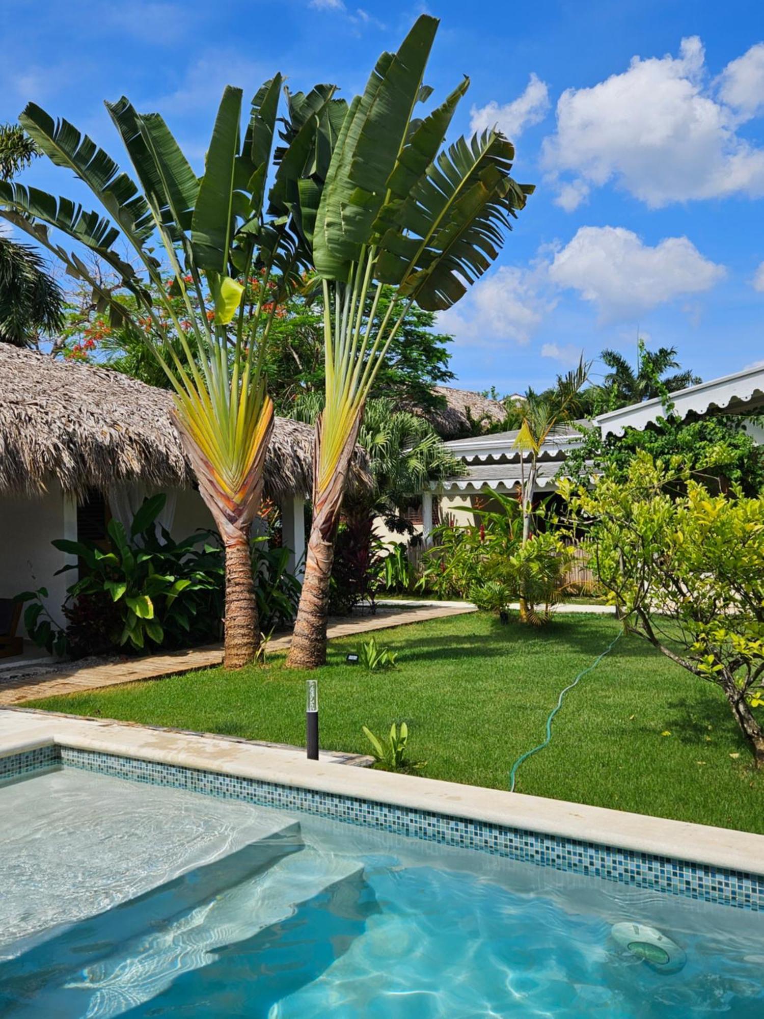 Casa Shambala B&B Las Terrenas Exterior foto